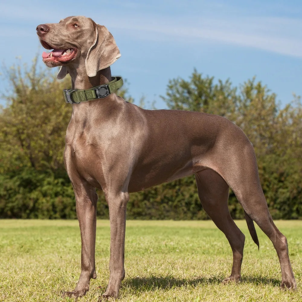 Tactical Dog Collar with AirTag Holder – Waterproof, Adjustable for Medium & Large Dogs